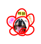 バーニーズマウンテンドッグのZIKIさん（個別スタンプ：16）