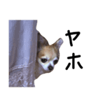 るーーーーく（個別スタンプ：6）