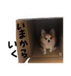 るーーーーく（個別スタンプ：8）