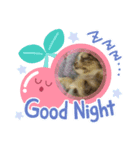 あさdog（個別スタンプ：5）