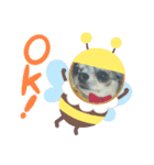 あさdog（個別スタンプ：6）
