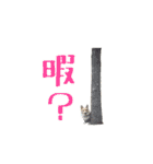 コーギーの徹之進くん (24個)（個別スタンプ：19）