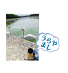 LOVE MAMA Summer Time yan（個別スタンプ：16）