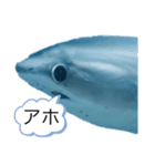 夢のコラボ（個別スタンプ：3）