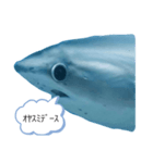 夢のコラボ（個別スタンプ：7）