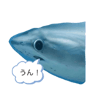 夢のコラボ（個別スタンプ：18）