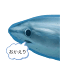 夢のコラボ（個別スタンプ：23）
