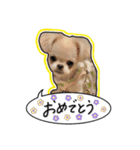 nicoさんの日常（個別スタンプ：3）