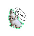 nicoさんの日常（個別スタンプ：14）
