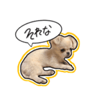 nicoさんの日常（個別スタンプ：16）