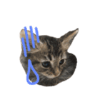 中村家の猫たちです（個別スタンプ：14）