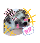 ハリネズミのツナオ（個別スタンプ：8）