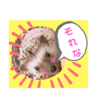 ハリネズミのツナオ（個別スタンプ：9）