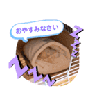 ハリネズミのツナオ（個別スタンプ：11）