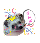 ハリネズミのツナオ（個別スタンプ：14）