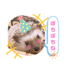 ハリネズミのツナオ（個別スタンプ：15）