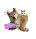 renchan2（個別スタンプ：5）