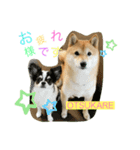 renchan2（個別スタンプ：6）