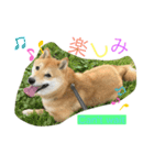 renchan2（個別スタンプ：8）