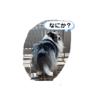 まりんの1日Ver.3（個別スタンプ：1）