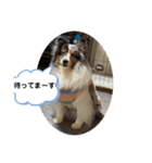 まりんの1日Ver.3（個別スタンプ：4）