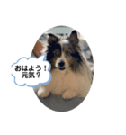 まりんの1日Ver.3（個別スタンプ：5）