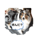まりんの1日Ver.3（個別スタンプ：7）