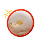 ハムズハムズ（個別スタンプ：4）