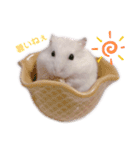 ハムズハムズ（個別スタンプ：5）