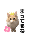 愛猫るるたん。ノルウェージャンフォレスト（個別スタンプ：24）