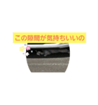 にゃ～ごまざり（個別スタンプ：1）