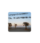 にゃ～ごまざり（個別スタンプ：7）