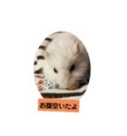 にゃ～ごまざり（個別スタンプ：8）