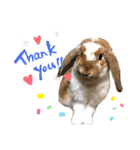 つきぐみ❤（個別スタンプ：1）