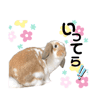 つきぐみ❤（個別スタンプ：7）