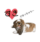 つきぐみ❤（個別スタンプ：9）