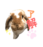つきぐみ❤（個別スタンプ：11）