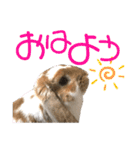 つきぐみ❤（個別スタンプ：13）