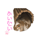 つきぐみ❤（個別スタンプ：20）