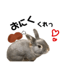 つきぐみ❤（個別スタンプ：23）