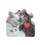 たかぽんちい（個別スタンプ：5）