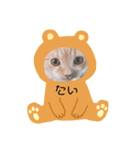 マンチカンたいのスタンプ（個別スタンプ：10）