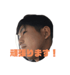 はらけんの愉快な仲間たち（個別スタンプ：31）