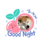柴犬ハッピーちゃん♡（個別スタンプ：3）