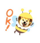 柴犬ハッピーちゃん♡（個別スタンプ：4）