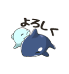 まるっこいイルカくん（個別スタンプ：9）