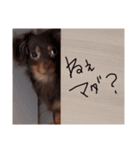 めろりん（日本語Ver.）（個別スタンプ：17）