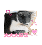 ベラー＆ベリー（個別スタンプ：2）