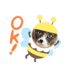 ベラー＆ベリー（個別スタンプ：9）