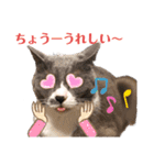 ベラー＆ベリー（個別スタンプ：15）
